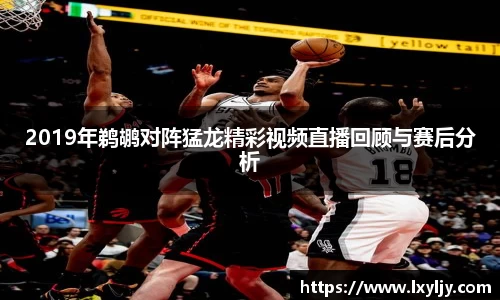 2019年鹈鹕对阵猛龙精彩视频直播回顾与赛后分析